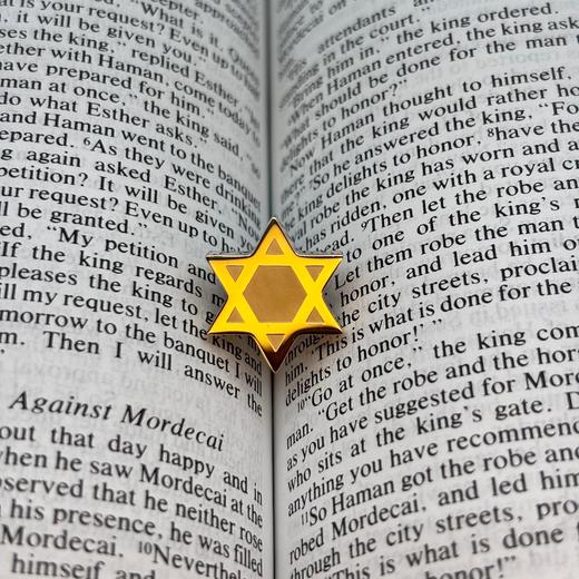 「大卫之星」胸针 商品图2