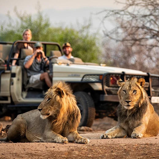 东非 | 全景肯尼亚·10天9晚 商品图3