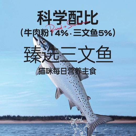 优选丨靓贝 全价牛肉&三文鱼  全阶段猫粮 商品图1