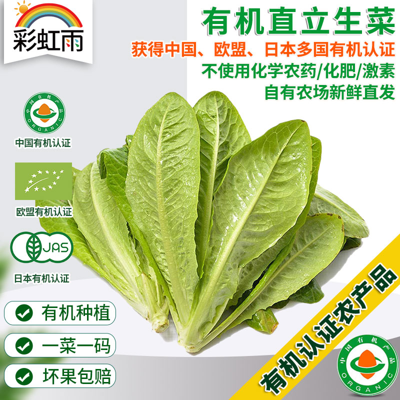 全国满额包邮  有机蔬菜 直立罗马生菜250g欧盟认证彩虹雨农场