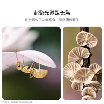 HUAWEI Pura 70 Pro 雪域白 12GB+512GB 超高速风驰闪拍【鸿蒙系统4.2 适配主流APP】 /手机通讯 /手机 /手机 商品图2