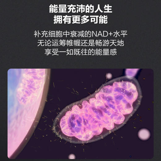 瑞维拓5代美国原装进口瑞维拓nmn白金版衰老NAD+G5官方旗舰店正品 商品图2