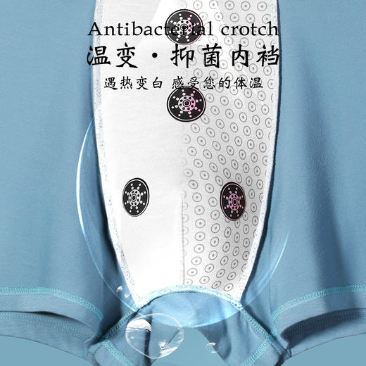 莫代尔男士内裤（3条装） | 高弹丝滑，柔软亲肤，水洗不掉色 商品图4