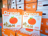 琥珀柑🍊——自然无需添加[好的]
来自大山里的纯粹甜蜜✨
每一口都带着大自然的馈赠，清甜、纯净🍃
来一颗，感受天然的甜蜜力量！
一箱净果4斤 商品缩略图2