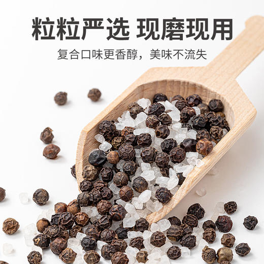 方家铺子海盐黑胡椒70g 商品图5