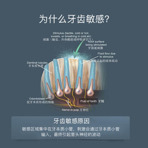 【马泷专属】瑞士原装进口怀尔德Dr.wild 双重护理修复牙膏 商品图3