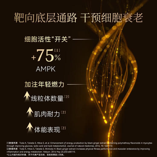 精倍莱倍精莱提精赋能生殖源活力增强免疫备孕衰老精蓓莱日本进口 商品图2