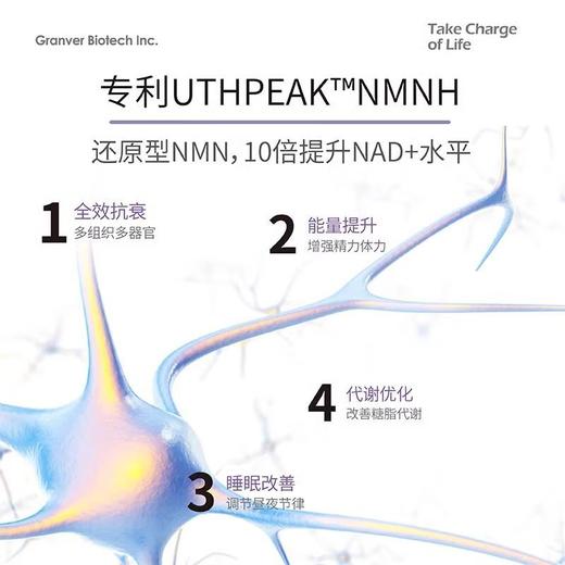 GRANVER吉瑞维nmnh亢衰胶囊补充NAD+剂提升精力机能改善睡眠进口 商品图3