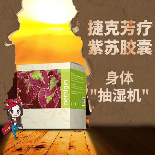 捷克安能聚紫苏胶囊冬虫夏草 排湿祛寒抗过敏改善体质肝锭120粒 商品图0