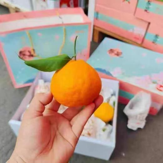 周三取货：【匠心级礼盒春见】一盒毛重8斤左右，果肉饱满，好吃不上火！ 超甜！超嫩！甜蜜多汁！ 商品图7