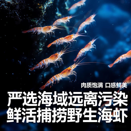 【💰15.9秒杀】高钙淡干虾皮65g，叠加店铺满赠，不叠加店铺满减和会员折扣 商品图1