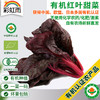 全国发货满额包邮 有机蔬菜 红叶甜菜250g 欧盟认证彩虹雨北京农场 商品缩略图0