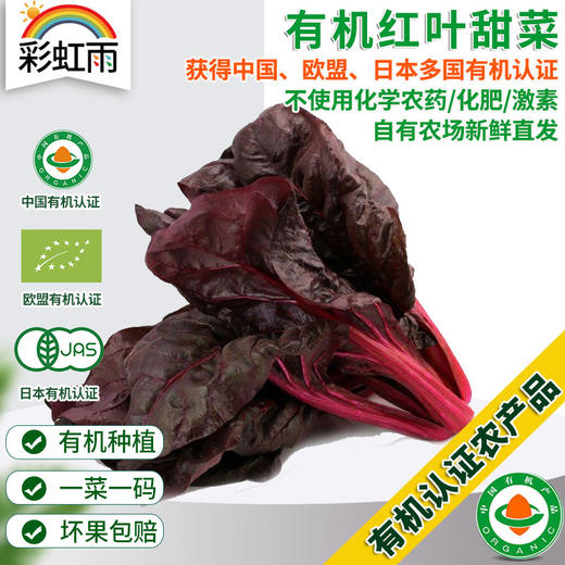 全国发货满额包邮 有机蔬菜 红叶甜菜250g 欧盟认证彩虹雨北京农场 商品图0