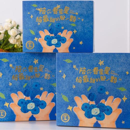 雪山蓝莓 商品图4