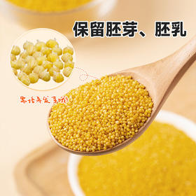 【颗粒饱满  谷香浓郁】有机小米鲜芽金米2.5kg