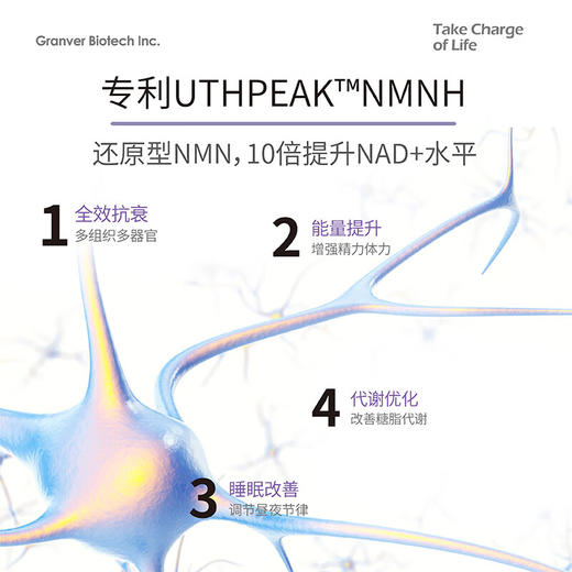 GRANVER吉瑞维高端亢衰老胶囊 第5代NMNH补充NAD+提升精力原装 商品图2