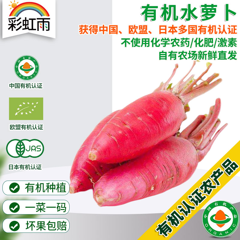 彩虹雨   有机蔬菜  新鲜青菜蔬菜 水萝卜250g 欧盟认证全国发货满额包邮