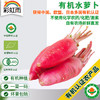 彩虹雨   有机蔬菜  新鲜青菜蔬菜 水萝卜250g 欧盟认证全国发货满额包邮 商品缩略图0