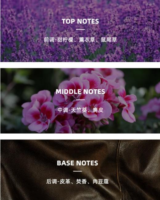 潘海利根牧羊少年EDC淡香100ml 商品图2