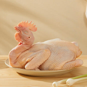 温氏供港土香鸡2斤 110天散养 莫氏鸡煲同款食材 冷冻农家走地鸡 商品图5