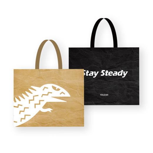 2025新款杜邦纸环保袋 商品图0