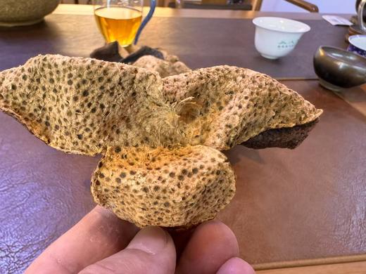 2009年 药食同源 圈枝陈皮 2009东甲 高货老皮 125克起 商品图0