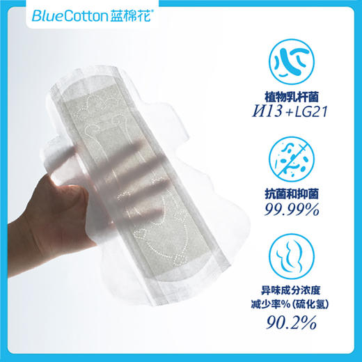 ⁵大套餐送内衣裤洗衣机【蓝棉花益生菌特护卫生巾】 日用/夜用/加长夜用/组合装，YY05-QTT-XY 商品图3