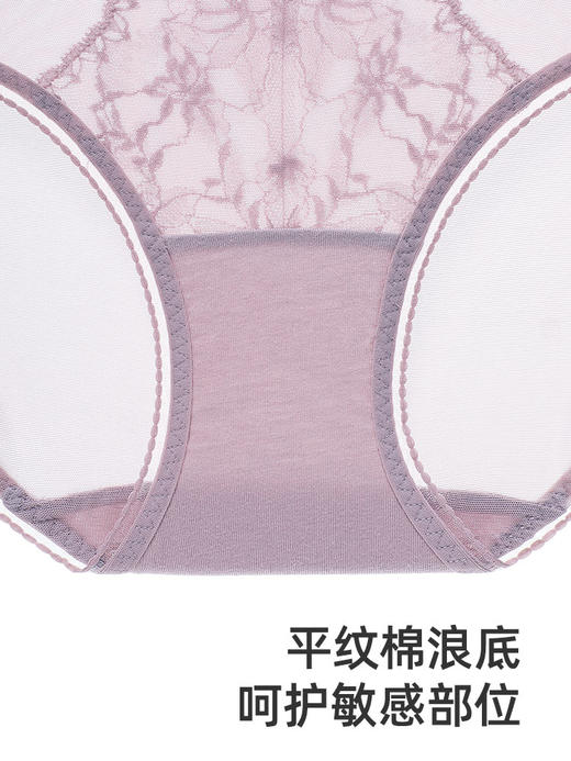 【花非花】遐25春夏新品性感蕾丝平角裤纯棉裆包臀速干中腰内裤女 商品图4