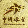 2025中国冰雪·冠军加油纪念章 商品缩略图7