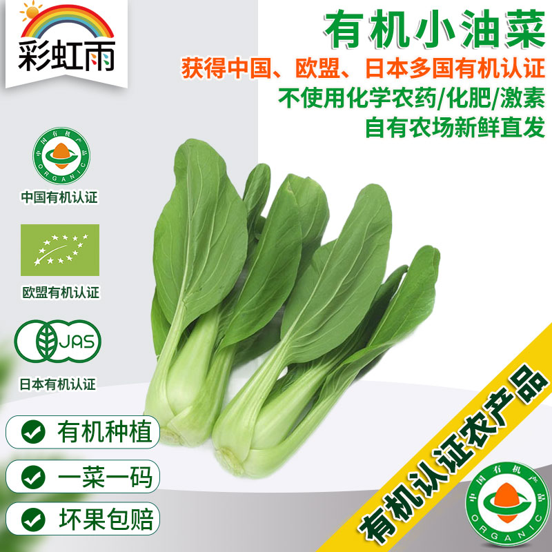 全国发货满额包邮 新鲜有机蔬菜 小油菜250g 欧盟认证彩虹雨农场