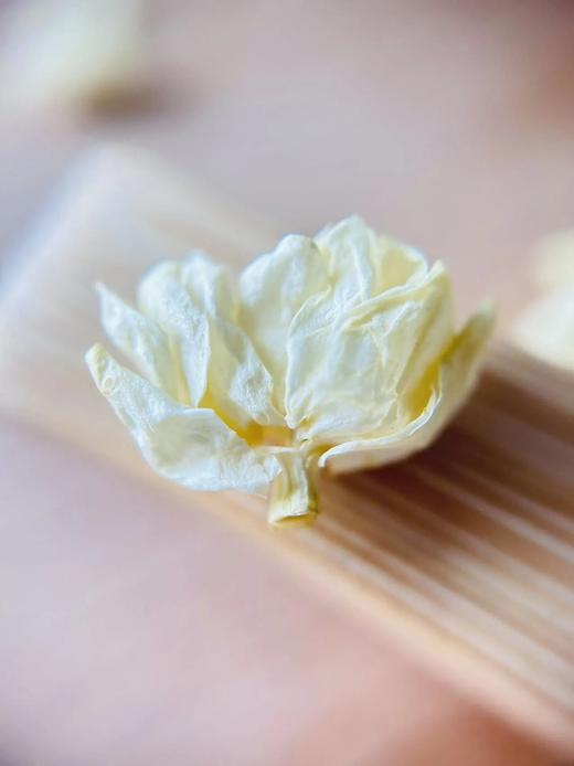 【2025高端茉莉花】10斤茉莉鲜花才得1斤茉莉花球精选特级花苞朵朵饱满大颗人工摘梗去花托纯净无杂质冲泡后不苦不涩基地直邮 商品图3