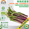 彩虹雨  有机蔬菜 青菜红菜苔250g  欧盟认证全国满额包邮 商品缩略图0
