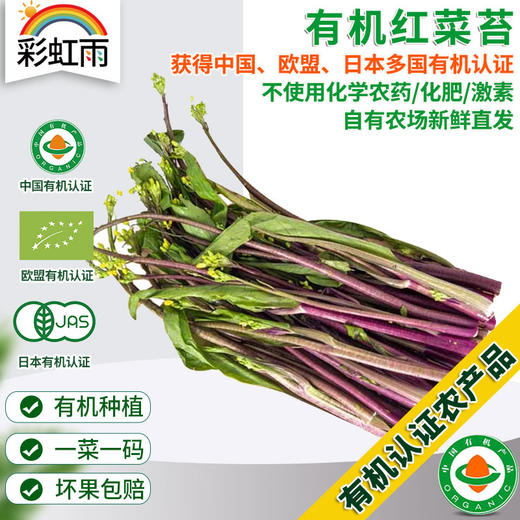 彩虹雨  有机蔬菜 青菜红菜苔250g  欧盟认证全国满额包邮 商品图0