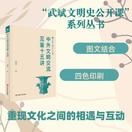 中外文明交流互鉴十五讲 武斌文明史公开课 商品图0