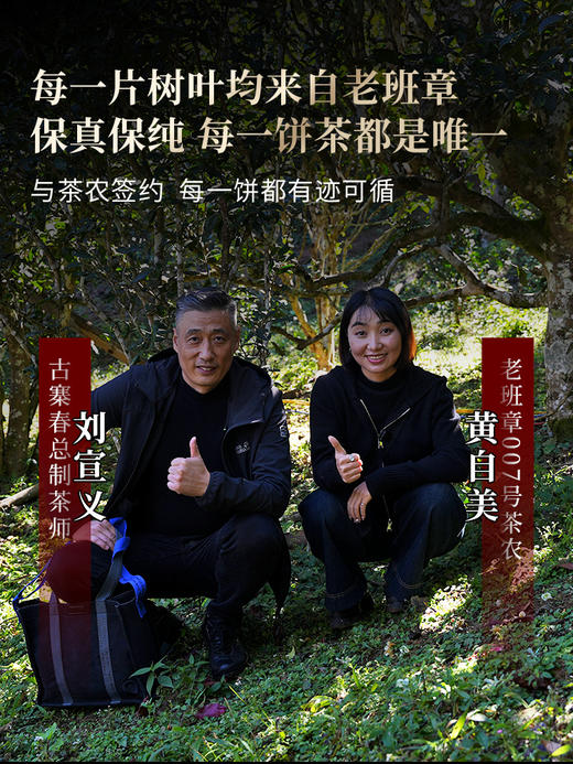 【2025年春茶】【老班章】普洱茶界的霸主 茶界的终极奢侈巨作 ！每一片叶子都来自老班章7号茶农家核心古茶园，357克/饼 5饼/提 拍5发6 拍20发25 商品图3