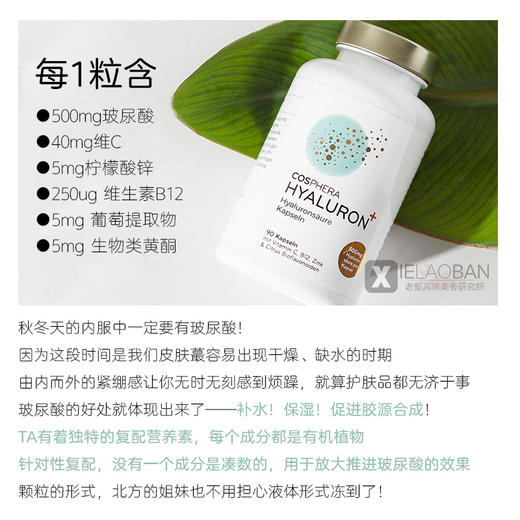 德国科氏芙拉口服玻尿酸胶囊90粒cosphera水光肌大白瓶高含量补水 商品图3