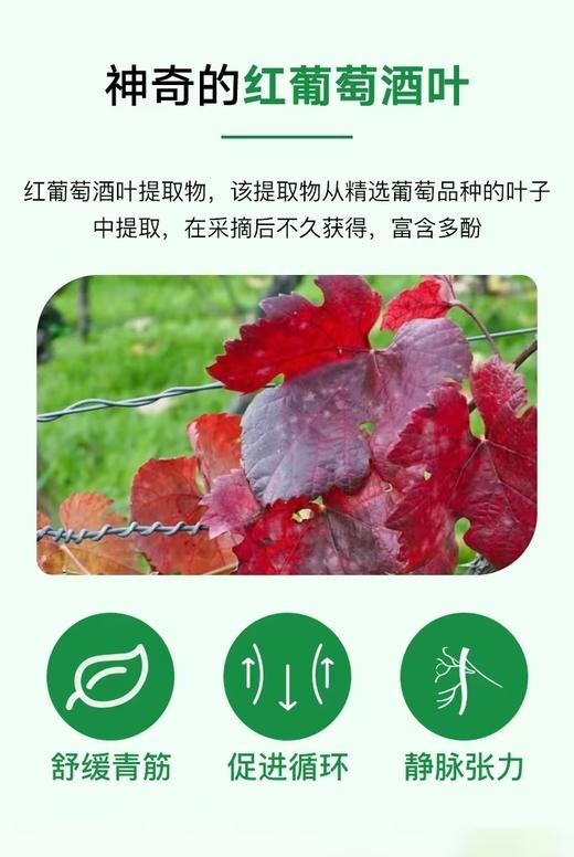 德国Alsiroyal艾斯罗拉维生素c静脉舒缓疲劳腿部沉重夜间曲张30粒 商品图2