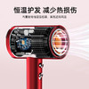 西屋(Westinghouse)恒温水润负离子电吹风_H108 商品缩略图4
