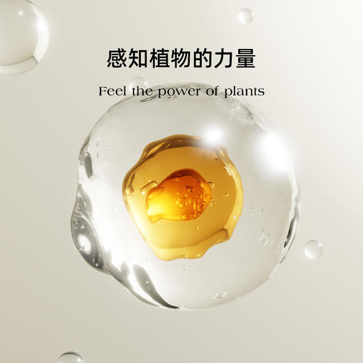 复方精油 | 随野系列复方精油 植物萃取香气丰富个性 商品图3