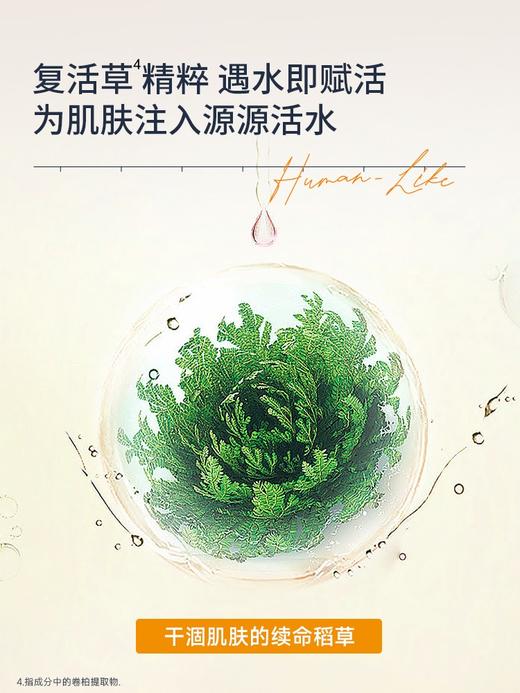 可丽金重组胶原蛋白健肤高保湿面膜5片 商品图2