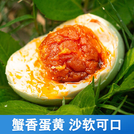【北部湾海鸭蛋】红树林烤海鸭蛋正宗红心流油腌制咸鸭蛋美味方便 商品图1