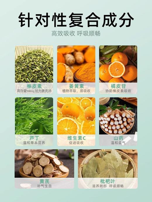维萃美槲皮素清肺片美国进口护肺动力姜黄 商品图3