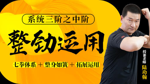 【新版系统整劲4.0】 商品图0