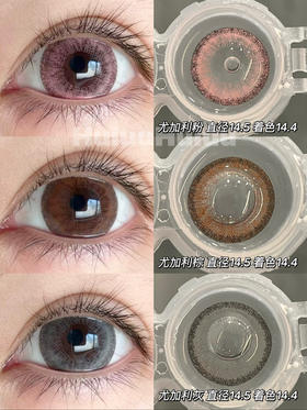 【本店实拍】Sheepcon-偏大款/混血尤加利系列/灰/棕/粉-14.5mm 【年抛 度数0-1000度 含525/575 】