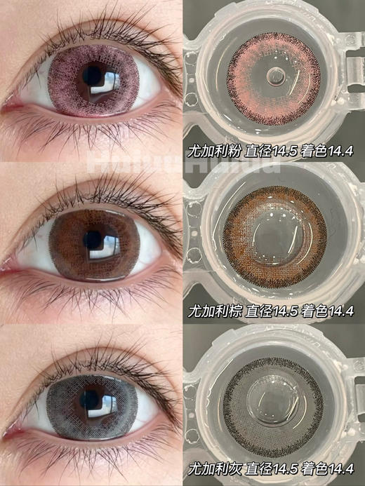 【本店实拍】Sheepcon-偏大款/混血尤加利系列/灰/棕/粉-14.5mm 【年抛 度数0-1000度 含525/575 】 商品图0