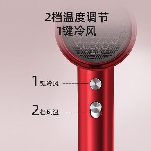 西屋(Westinghouse)恒温水润负离子电吹风_H108 商品图3