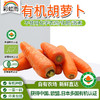 新鲜有机蔬菜 胡萝卜500g欧盟认证 脆嫩多汁 京津冀满百包邮 商品缩略图0
