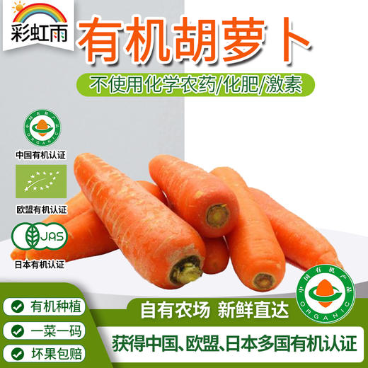 新鲜有机蔬菜 胡萝卜500g欧盟认证 脆嫩多汁 京津冀满百包邮 商品图0