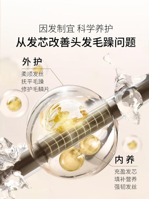 函得仕臻护亮泽润发乳400ml 商品图1