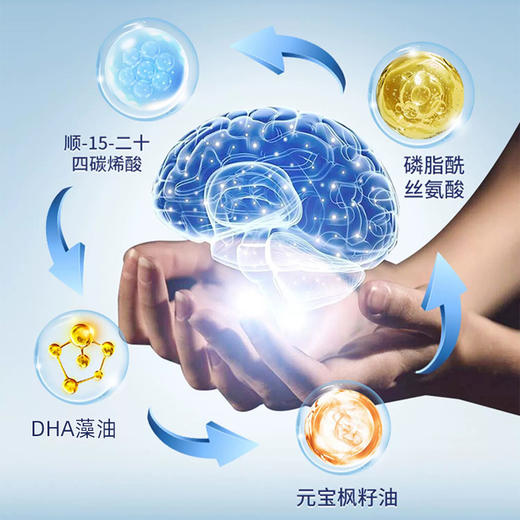 CIS脑神素脑神酸元宝枫籽油胶囊SNOLEY德国原装进口 60粒2瓶盒 商品图2